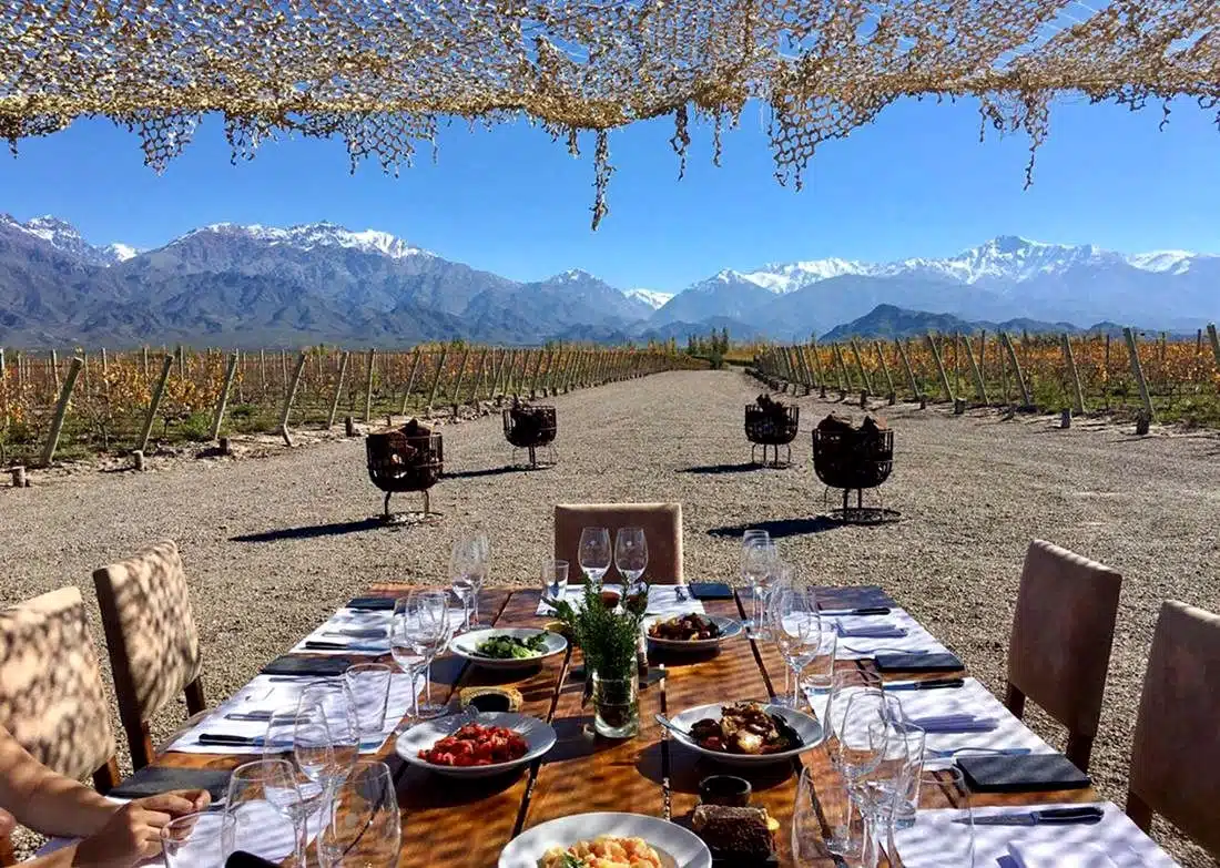 Almuerzo entre viñedos Malbec en Mendoza